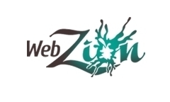 Продвижение сайта: Веб-студия #webZion